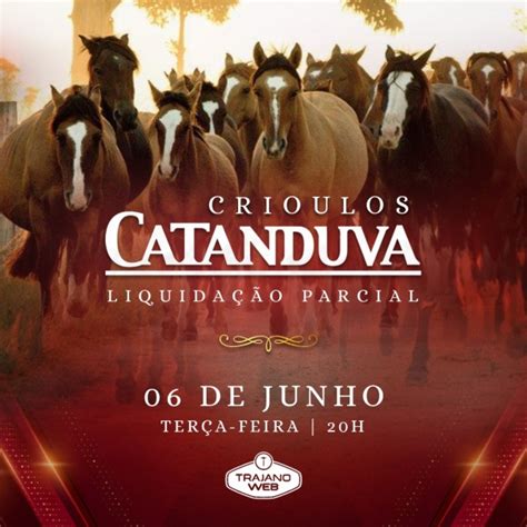 taradona de catantuva|'taradona de catantuva' Search .